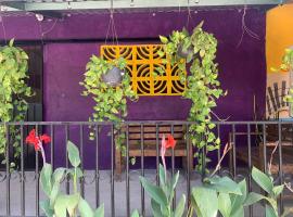 ORidleys Hostel16，位于Barra de Potosi的酒店