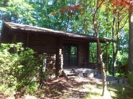 Midorinomura Log House Campsite - Vacation STAY 91569v，位于小鹿野町的露营地