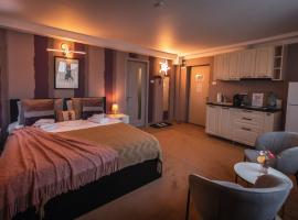 AMADA CITY CENTER，位于雅西的住宿