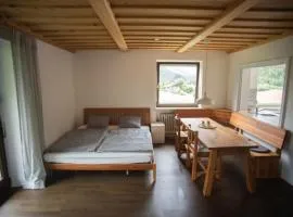 Haus Oberwössen Studio #1 Kampenwand mit Sauna