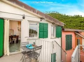 Country View, Terre Marine