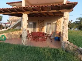 Ελαιώνας και θάλασσα