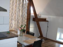 Chambre privée dans appartement - chez kassandra - 5mn tram du centre ville - 15mn tram Gare TGV Mulhouse，位于米卢斯的酒店