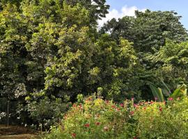 Villa Selma Martinique，位于Maximin的酒店