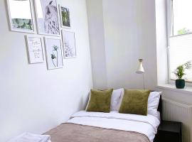 Apartament Green Loft Centrum，位于格鲁德柴兹的酒店