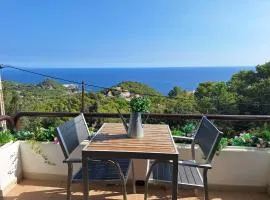 Apt CON VISTAS ALAS ISLAS MEDAS