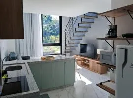 Loft moderno em pomerode