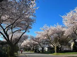 Bloom House 樱花民宿