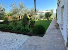 Holiday Homes in Perugia - Umbrien 50687