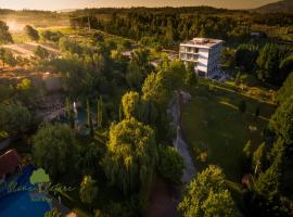 Olive Nature - Hotel & SPA da Quinta Dona Adelaide，位于瓦尔帕苏什的酒店