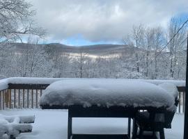 Peaceful Peaks Cabin，位于Lanesville的酒店