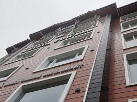 Hotel Azizia Inn Srinagar，位于Dedamaribāgh的酒店