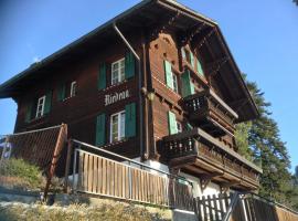 Happy Sunshine Chalet In The Heart Of Gstaad，位于格施塔德的酒店