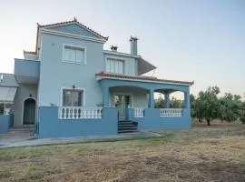 Kalloni Olive House