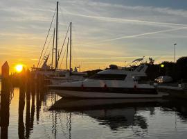 La finestra sul tevere Fiumicino，位于Porto的船屋