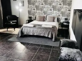 Studio proche du front de mer