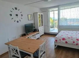 Apartmán Petr Sankt Englmar, Bayerische Wald