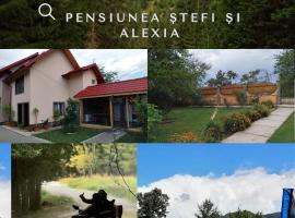 Casa Stefi si Alexia，位于波洛夫拉吉的酒店