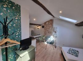 Le Studio du Docteur Privey - Free & secure Park Bike -3mn Autoroute，位于图尔尼的酒店