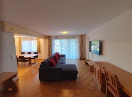 Casa Andrea Parterre 116，位于利德阿尔卑斯的酒店