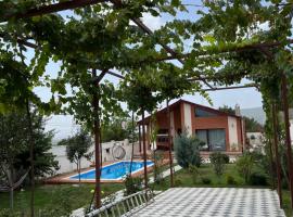 Villa Leana，位于Dzhigaura的酒店
