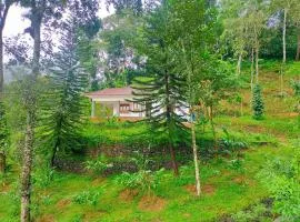 Anivilla Holiday Home Kunjithanny