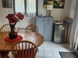 House with garden and barbecue in Cabourg