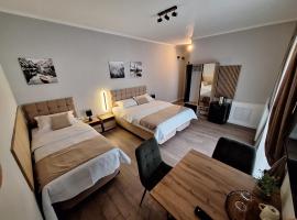 Casa Don Felipe，位于蒂米什瓦拉的舒适型酒店