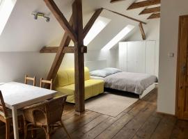 Apartmány Kosov 2，位于Bor的酒店