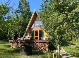 Pumbaa House at Casa Twiga, Melicesti, Prahova, Romania