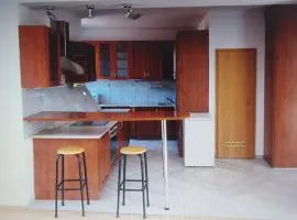 Arya - apartment in the hearth of Bratislava