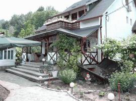 Pensiunea Sf Nicolae，位于Aluniş的酒店