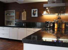 Gezellige Ruime Villa incl Hottub Sauna en Gamesroom，位于Den Ham的酒店