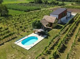 Casa VIDA
