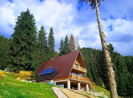 A-frame Mountain Escape，位于Poiana Ţapului的酒店