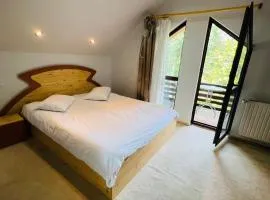 Ski Chalet Sinaia