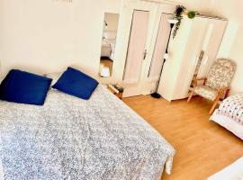 Chambre chez l'habitant en hyper centre à Strasbourg，位于斯特拉斯堡的酒店