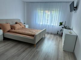 Hanul Ancutei，位于Godeanu的酒店