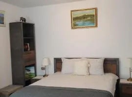 Roca Room