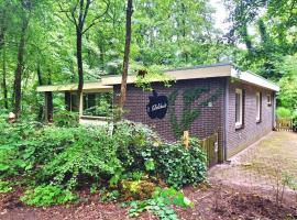 Rustige bungalow in het bos，位于Schoonoord的度假屋