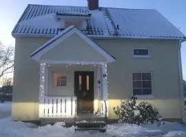 Sommar och vinter i Rottneros