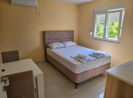 Apartman Tolosi