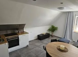 DG Apartment mit Neckarblick