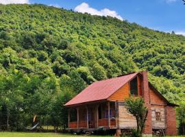 Forest Dream ტყის სიზმარი，位于Tsʼageri的乡村别墅