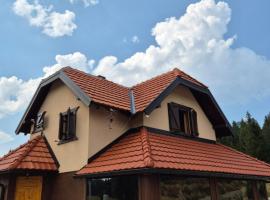 Luxury Villa Dimitrijević SPA，位于Konjska Reka的酒店