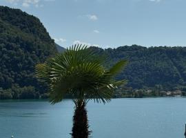 Neue Gartenwohnung mit Sicht auf den Luganersee，位于蓬泰特雷萨的酒店