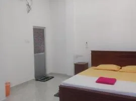 Nikita Homestay