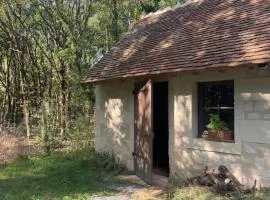 Immersion dans une loge de vigne