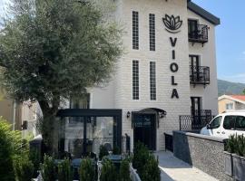 Viola Hotel Budva，位于布德瓦的酒店