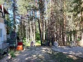 Forest villa Atlantic